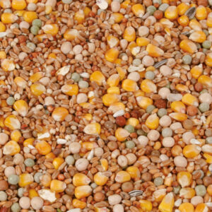 Natural Sports / Avl NL, 20 kg