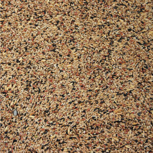 Natural Original Kanarie u/ryps 20 kg