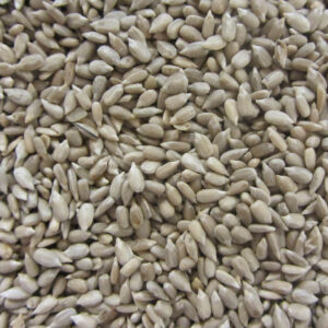 Afskallede solsikke 15 kg