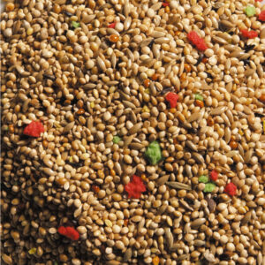 Natural King Standard Trope, 15 kg