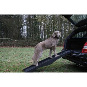 Hunderampe, sort 152x40 cm