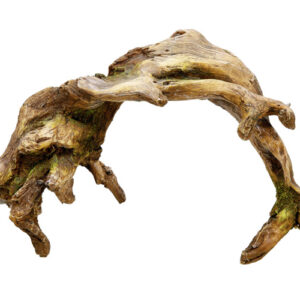 Akvariedekoration - Wood