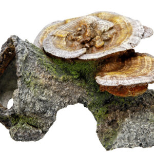 Akvariedekoration - Wood Cave med Mushrooms