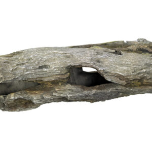 Akvariedekoration - Wood