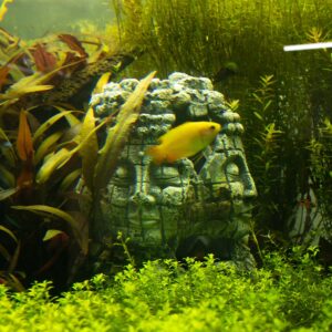 Akvariedekoration - Ruine med faces