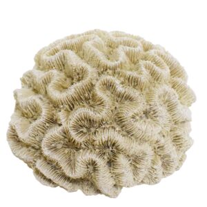 Akvariedekoration  CORAL