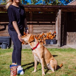 StarSnack Barbecue Chicken´n Beef Roll, 180 g.