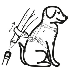 Sikkerhedssele og kort snor