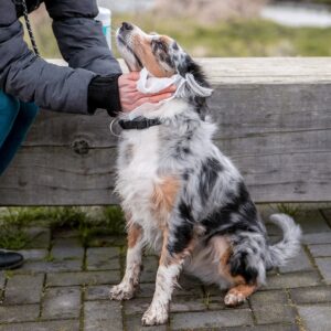 Display 42 x 15 stk. Universal vådservietter