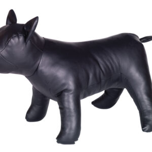 Udstillingshund - BULLDOG, 34 cm
