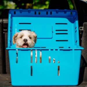 Transportbox Pet Caddy II