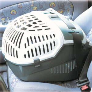 Transport boks - Avior