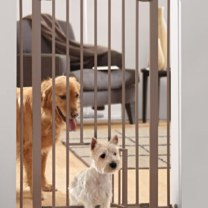 Hundegitter med kattelem