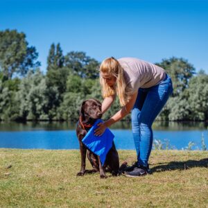 Display 18  stk. - Håndklæde SPEED DRY Komfort