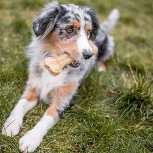 Råhud ben presset, 2 stk. (Thailand)