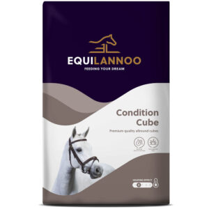 EQL Condition Cube 20 kg