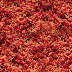 NutriBird Gold Patee Red 1 kg