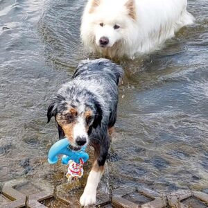 TPR Aanker med ræb, Floating