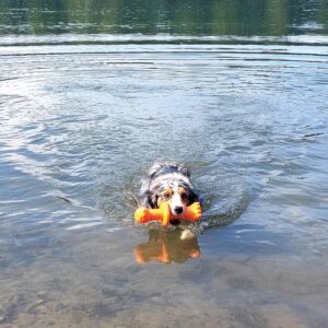 TPR bøje ROBBI, Floating