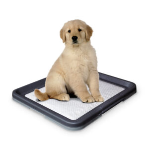 Træning Pads - Hvalp