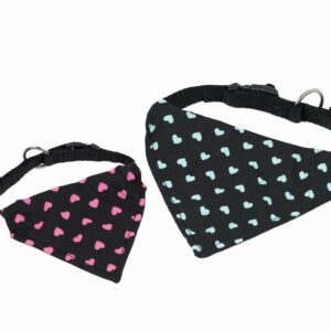 Halsbånd med bandana