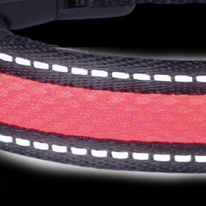 Leash FLASH MESH