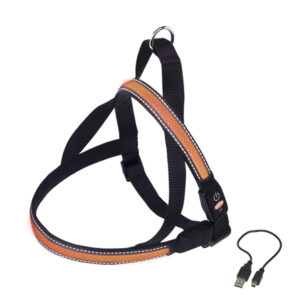 NORWEGIAN Sele FLASH MESH