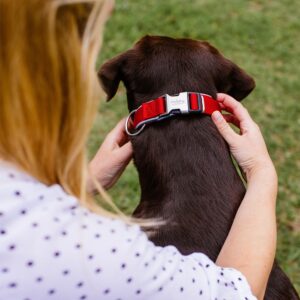 Halsbånd Classic Preno Royal