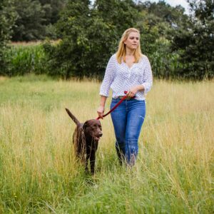 Dressurline Classic Preno Royal