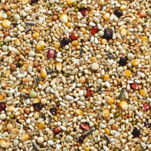 Natural Finesse Sport Sprint, 20 kg