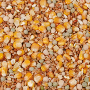 Natural Allround, 20 kg