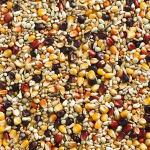 Natural Finesse Sport Marathon, 20 kg