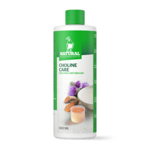 Natural Choline Care, 500 ml