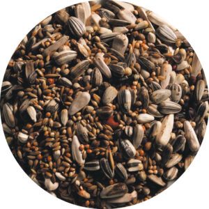 K.S. Parakit m/sol 20 kg