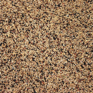 Natural Original Kanarie Lux 20 kg