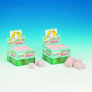 Engelske pigsten, 18 stk. L