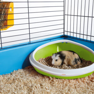 Gnavertoilet Concha M