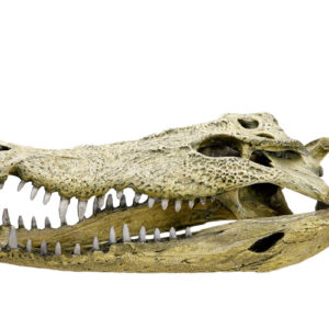 Xmas plush Bear, 23 cm