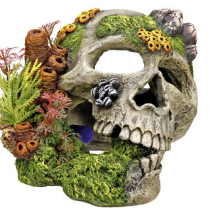 Akvariedekoration - Scull