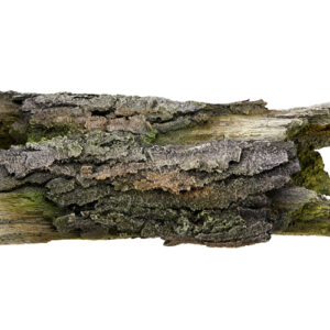 Akvariedekoration - Wood