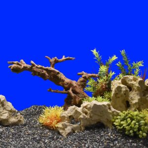 Akvariedekoration - Root