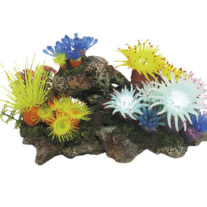 Akvariedekoration - Aplysina med plants and LED