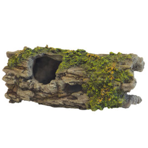 Akvariedekoration WOOD TRUNK WITH MOSS