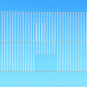 Fence Inside Feeding