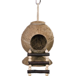 Kokosnød hus med stige