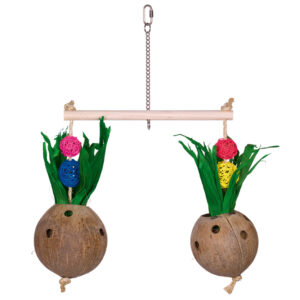 Kokosnødder med blomster og blade til papegøjer 50 x 40 cm