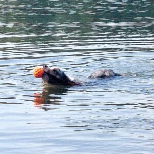TPR Bold WAFER med elastik, Floating