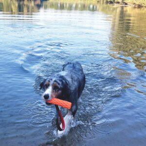 TPR Stick WAFER med elastik, Floating