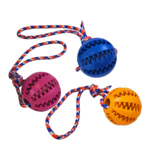 Display 16 stk., Dental Gummi bold med reb