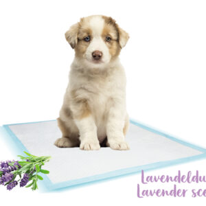 Tisseunderlag med lavendel, L, 10 stk.